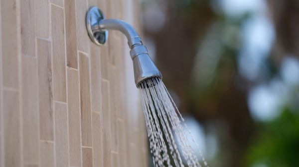 Showerhead Repair in Galveston